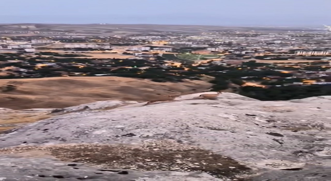 Elazığda dağ keçileri görüldü