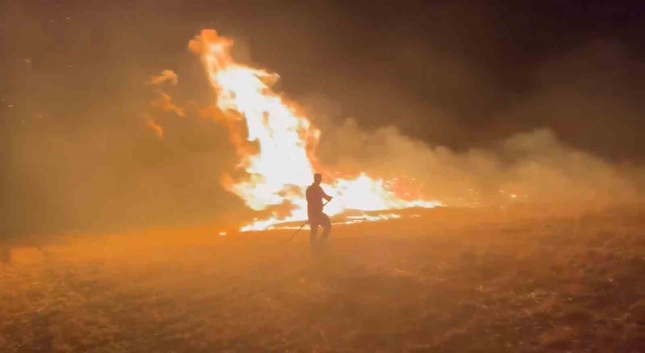 Elazığda korkutan arazi yangını