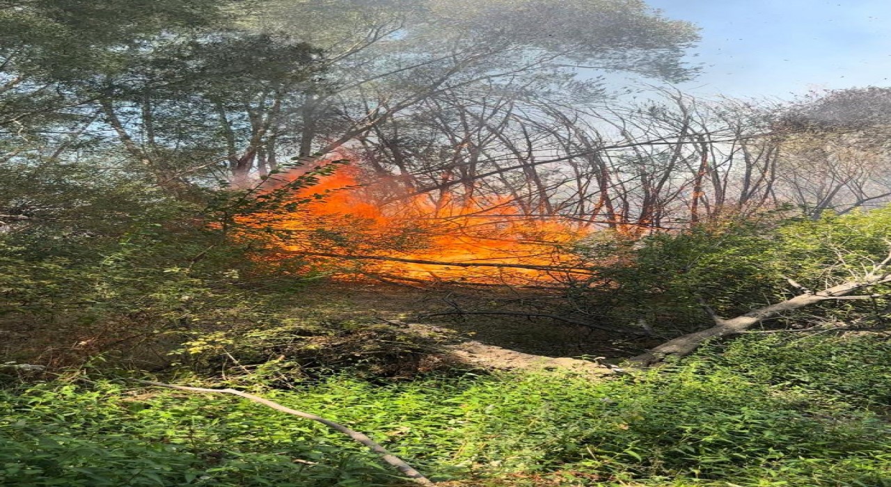 Elazığda otluk alanda yangın