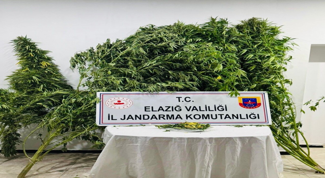 Elazığda uyuşturucuyla mücadele