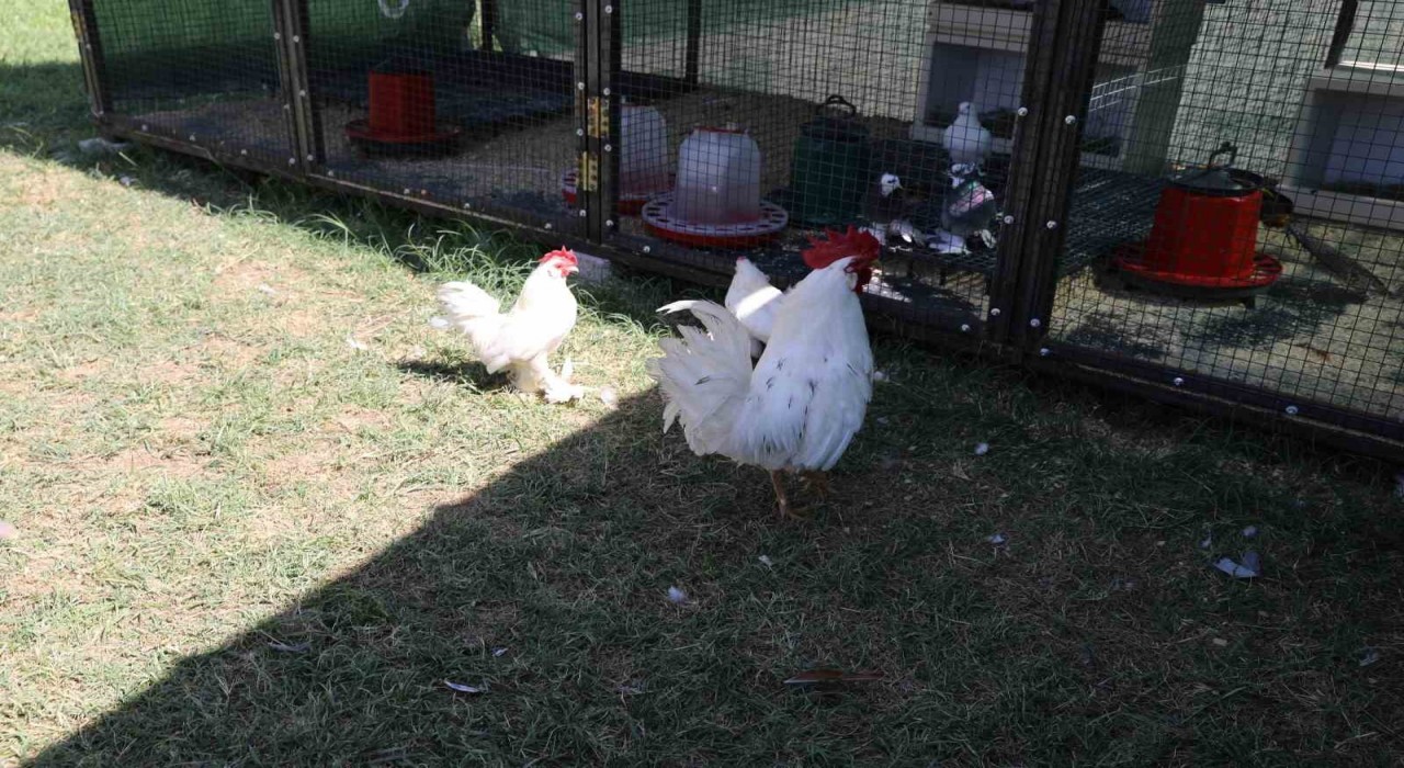 Engelsiz Yaşam Merkezinden yeni rehabilitasyon uygulaması