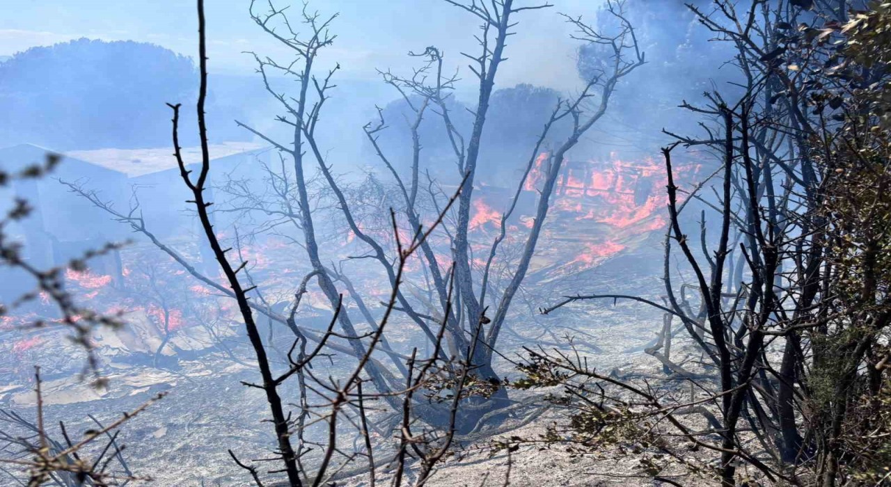 Erdekte çıkan orman yangını kontrol altına alındı