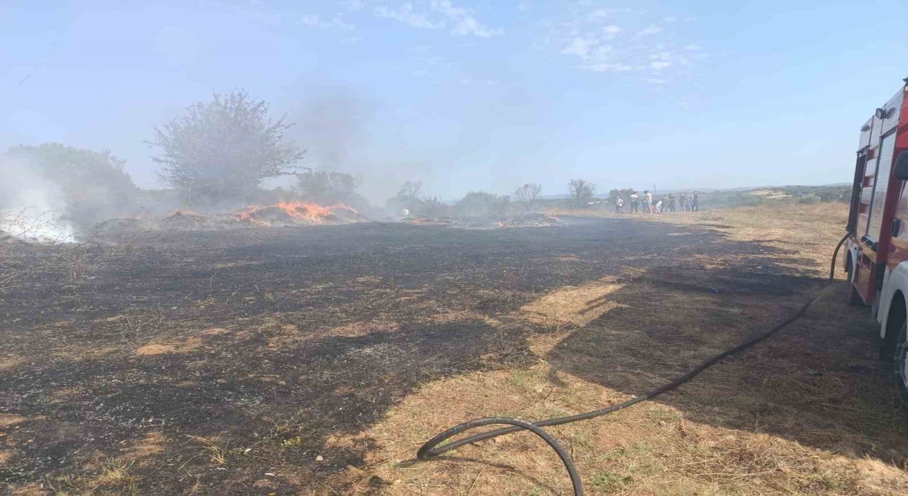 Erdekte zeytinlik ve otluk alanda çıkan yangın söndürüldü