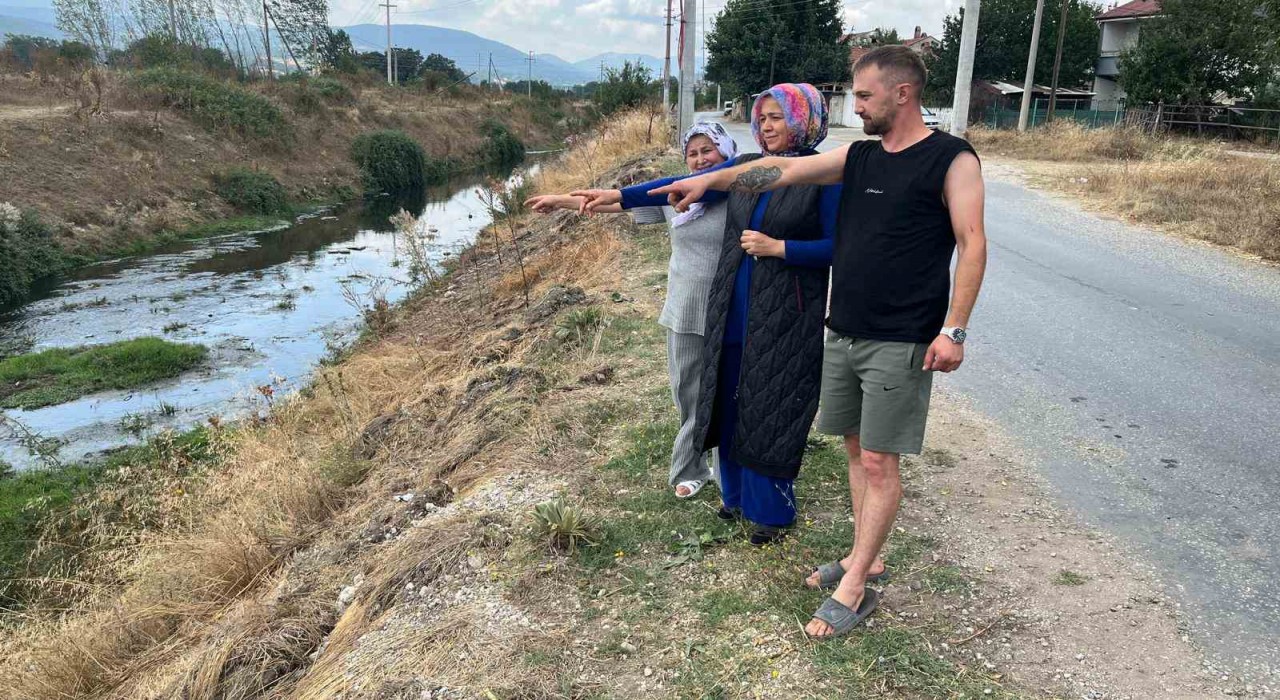 Erpiliçin pisliği, hamile kadını hastanelik etti