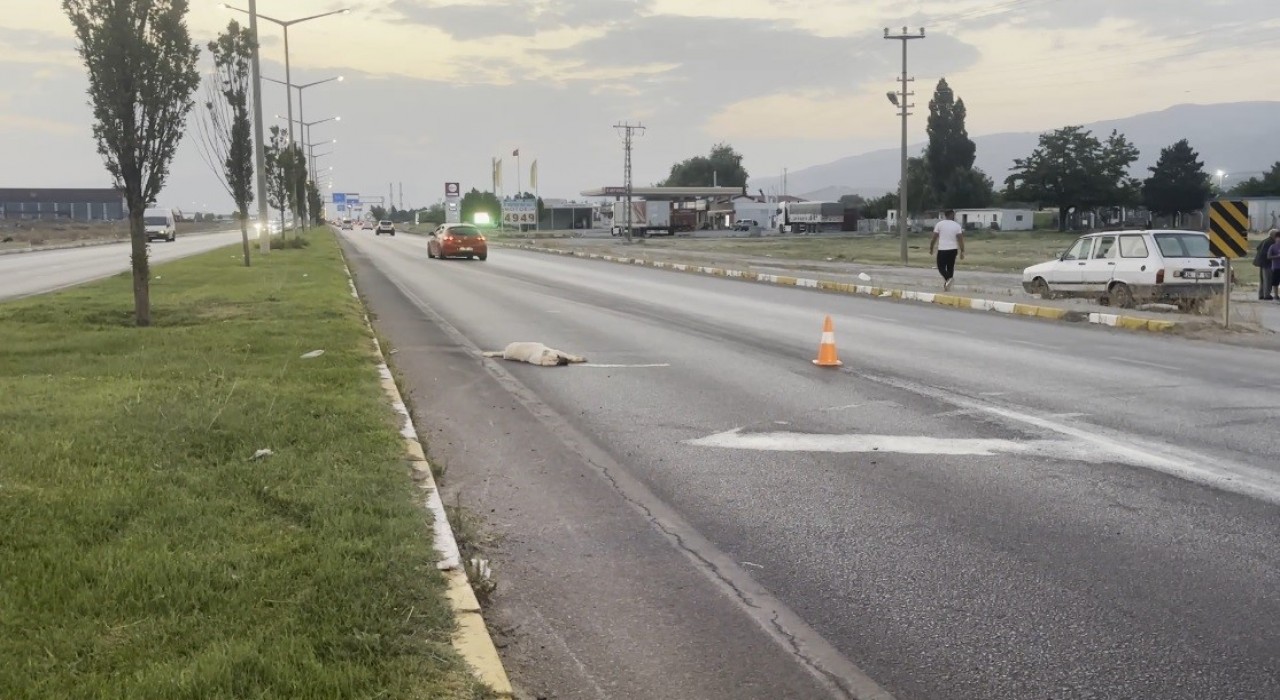 Erzincan-Erzurum kara yolunda duygulandıran görüntü