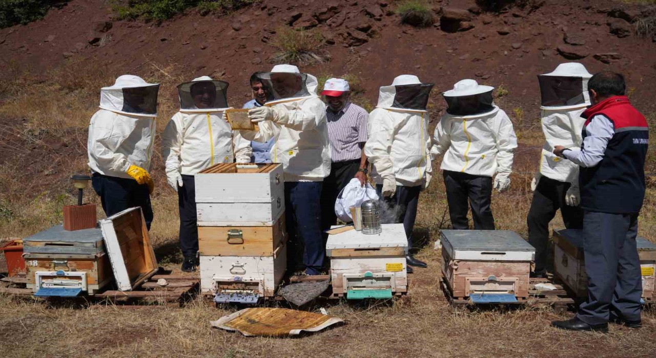 Erzincanda Geven Balı hasadı yapıldı