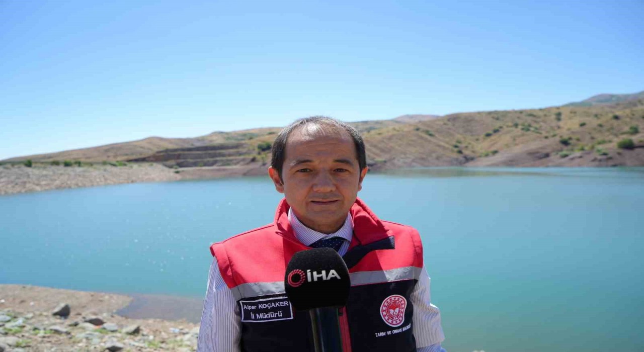 Erzincanda Göyne Barajına 200 bin yavru sazan balığı bırakıldı