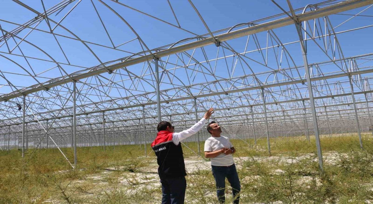 Erzincanda jeotermal sera yatırımları devam ediyor