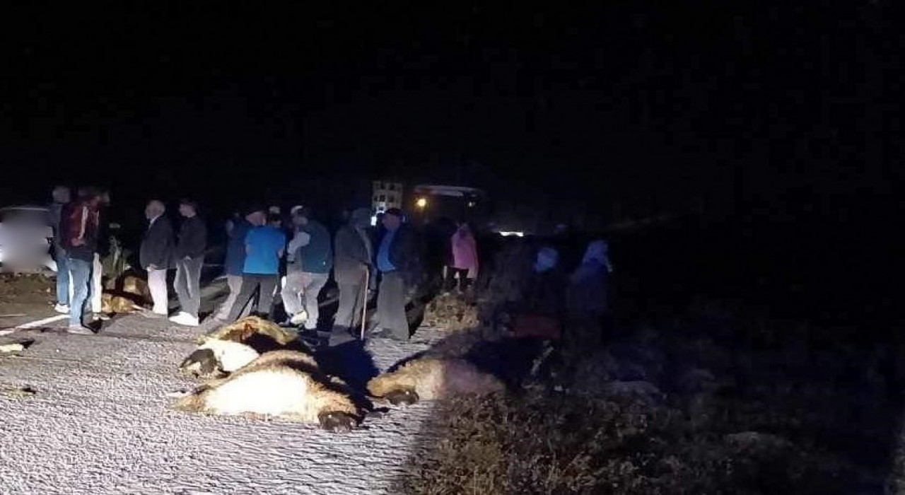 Erzincanda otomobil koyun sürüsüne daldı