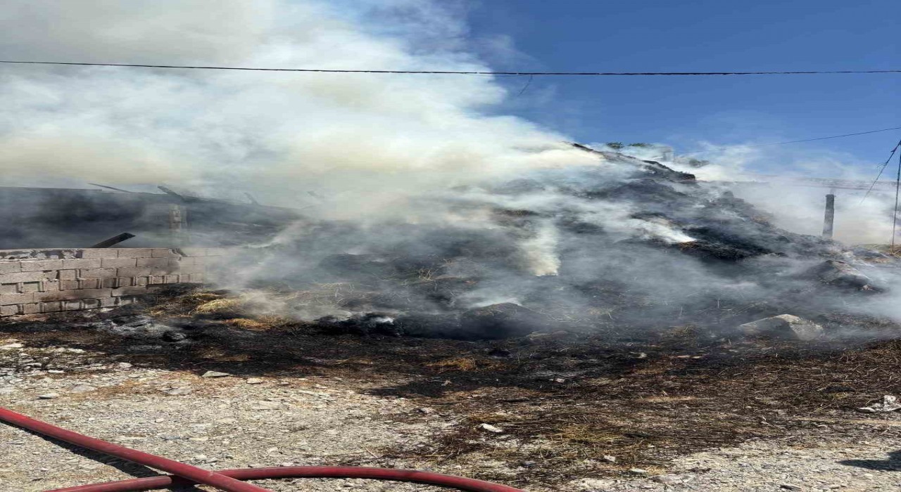 Erzincanda samanlık ve ahır yandı