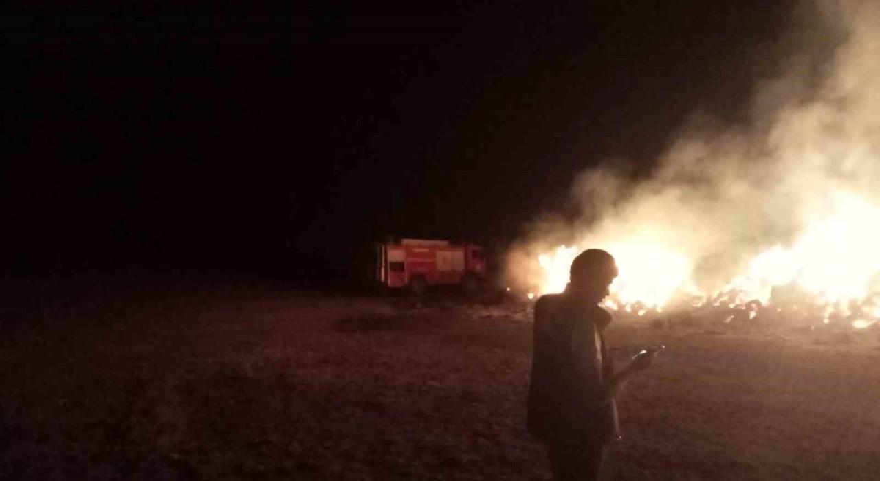 Erzurumoa ot yangını