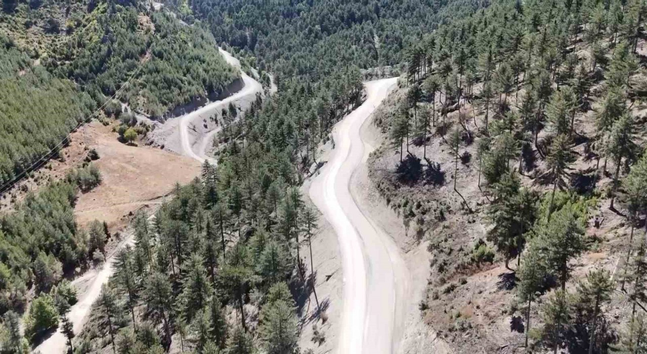 Fekede 75 yıl sonra genişletilen yollar ormanın güzelliğini ortaya çıkardı