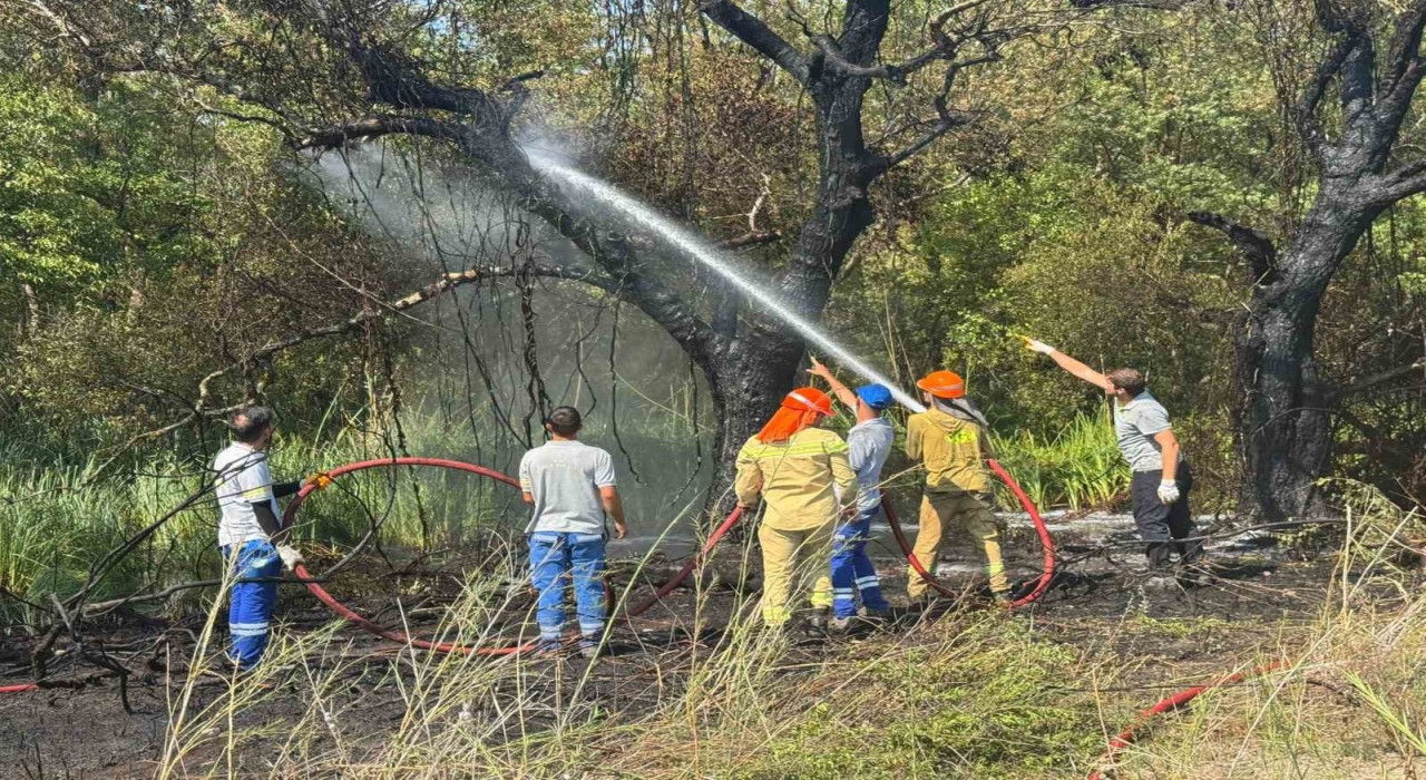 Fethiye Akmaz Plajında çıkan yangın kontrol altına alındı