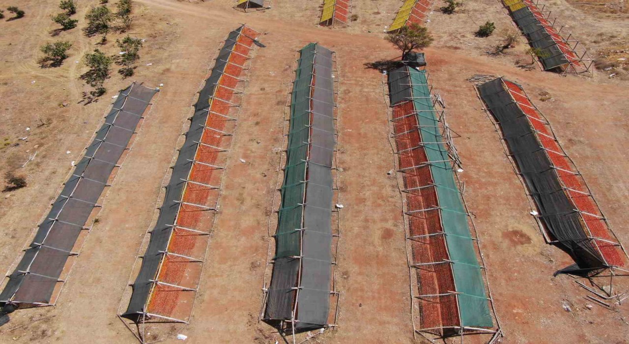 Gastronomi kentinde güneşe bırakılan kurutmalıklar eşsiz görüntüler oluşturuyor