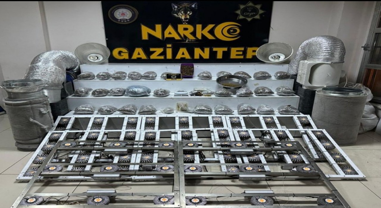 Gaziantepte 32 kilo skunk ele geçirildi