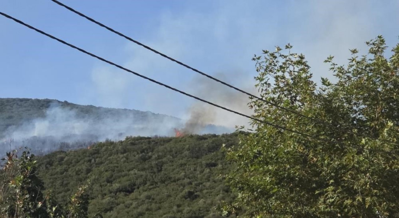 Gedelek yangını ile ilgili 1 kişi gözaltına alındı