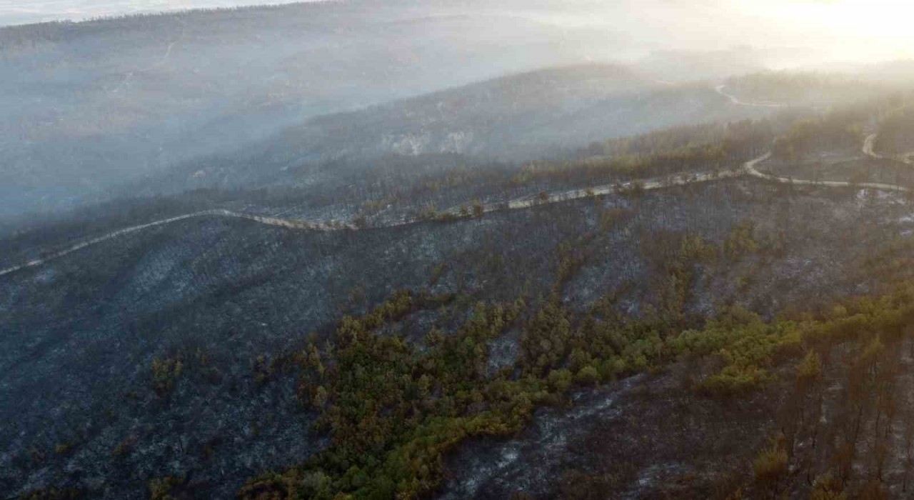 Geliboluda büyük ölçüde kontrol altına alınan orman yangınında yanan yerler dronla görüntülendi