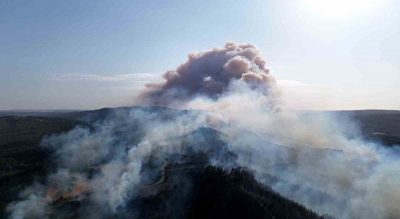Geliboluda çıkan orman yangını dron ile görüntülendi