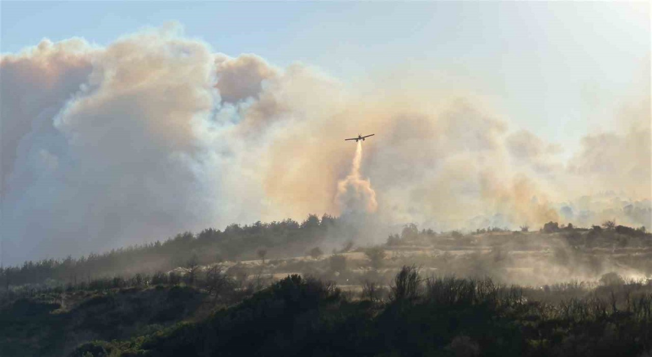 Geliboluda çıkan orman yangınında Yolağzı köyü tedbiren tahliye ediliyor