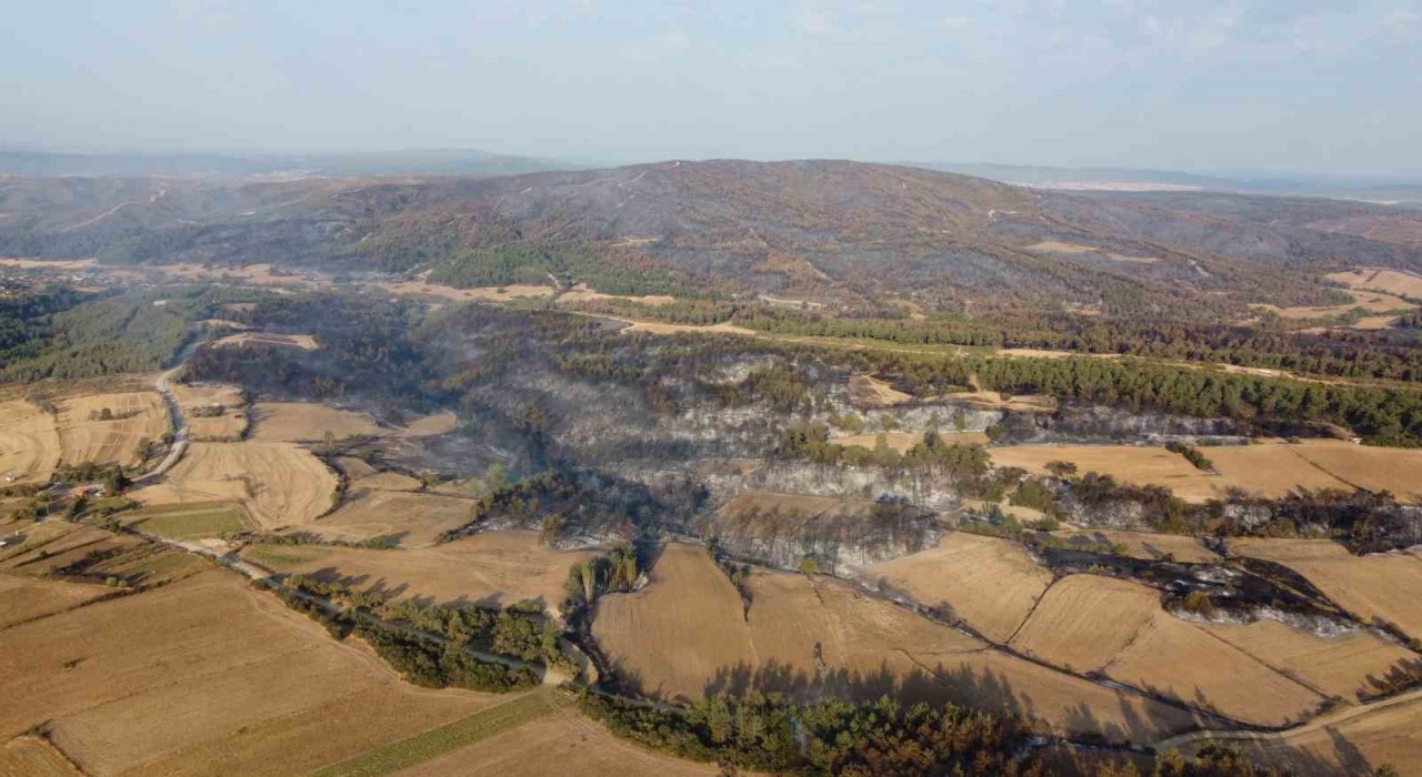 Geliboluda çıkan orman yangınının verdiği tahribat dron ile görüntülendi