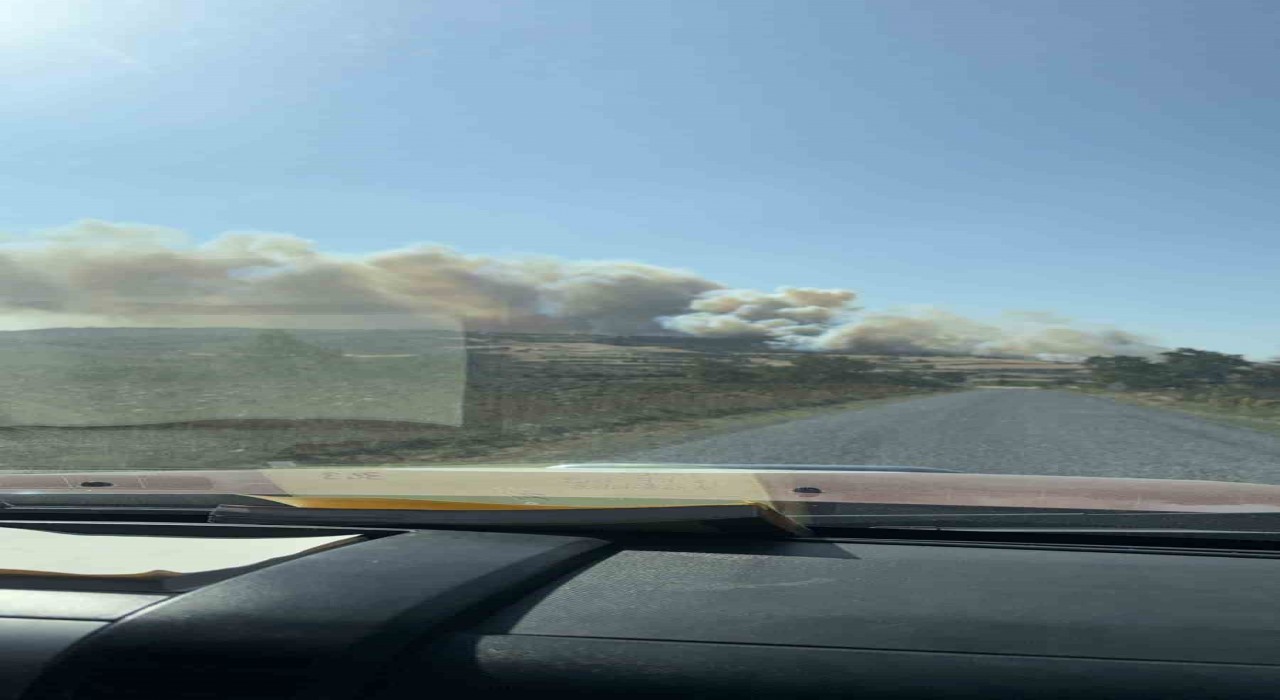 Geliboluda orman yangını