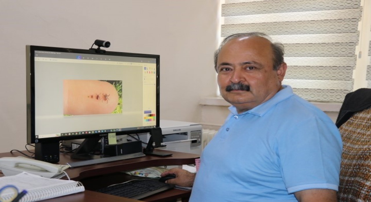 Gelişigüzel yapılan ilaçlamalar kene patlamasına neden olabilir