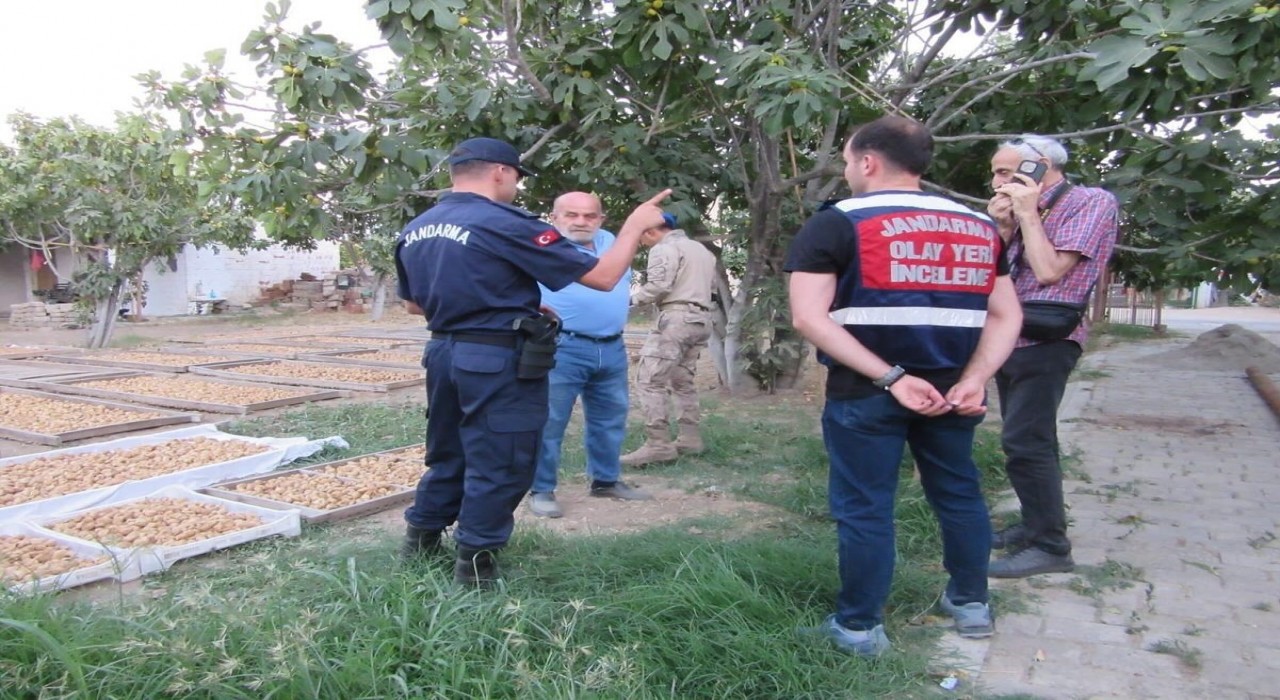 Germencikte incir hırsızlığına karşı jandarmadan sıkı denetim