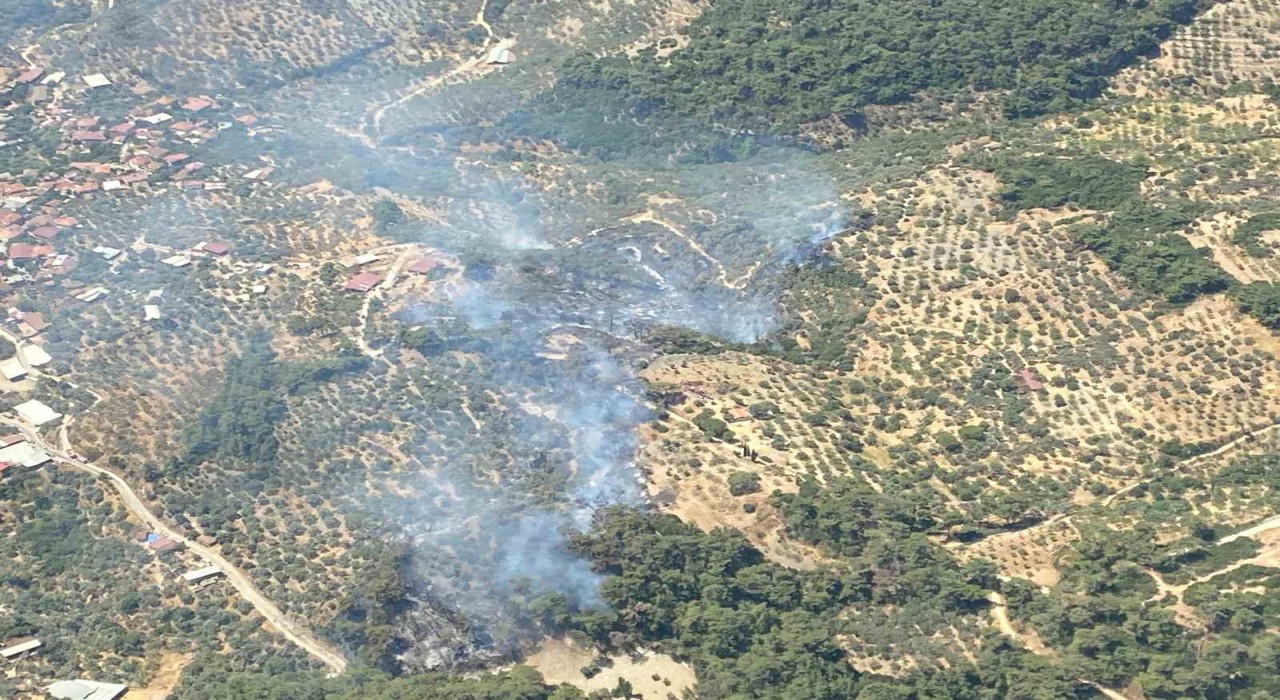 Germencikte orman yangını