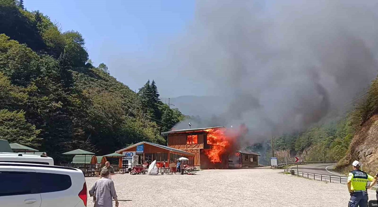 Giresunun gözde tabiat parkında yangın felaketi