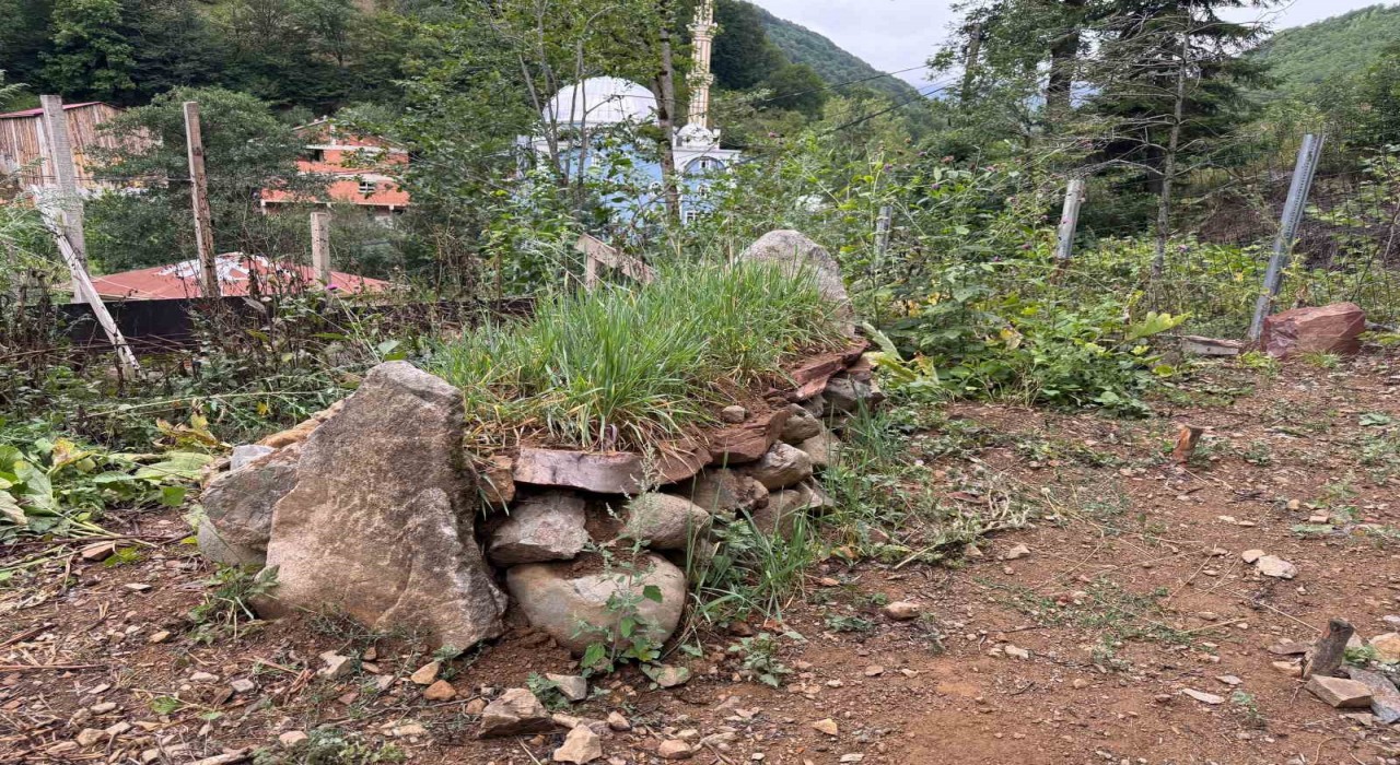 Giresunun manevi değerlerinden Hacı İlyasın mezarının türbeye dönüşmesi isteniyor