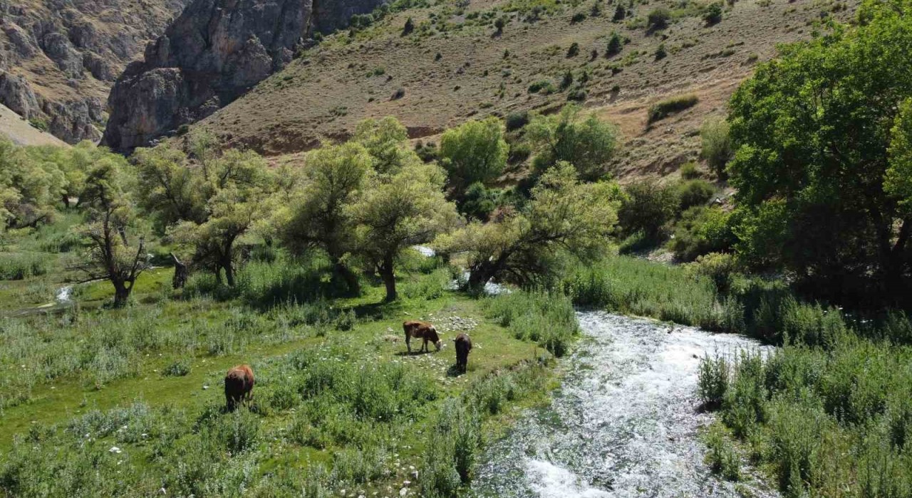 Girlevik Şelalesine hayat veren gözeler, ziyaretçilerin uğrak yeri oldu