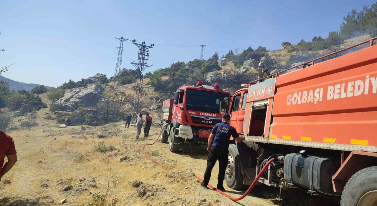 Gölbaşında orman yangını