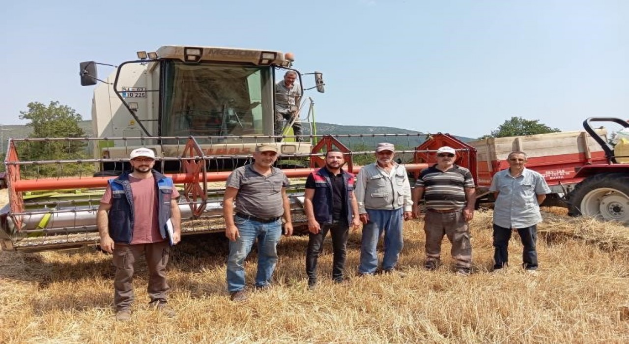 Gölpazarında hasat kontrolleri tüm hızıyla sürüyor