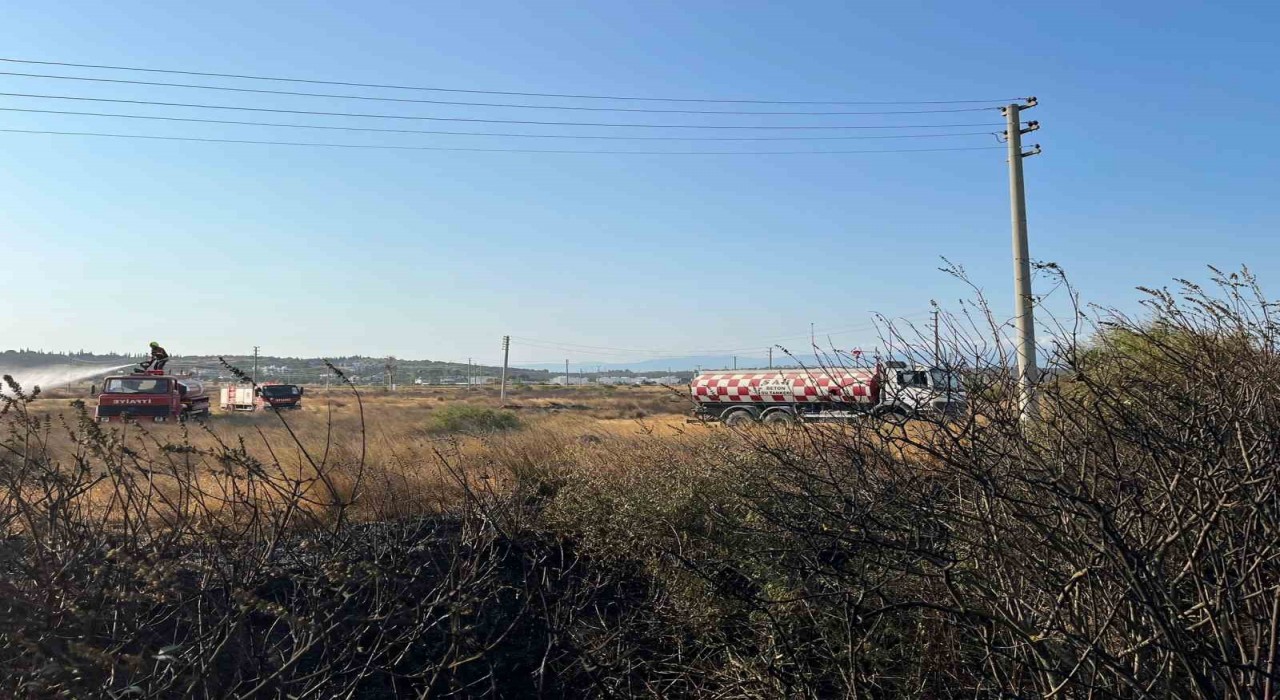 Gömeç yangını kontrol altında