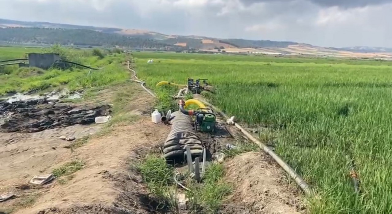 Gönen Ovasında çeltik tarlaları susuz kaldı