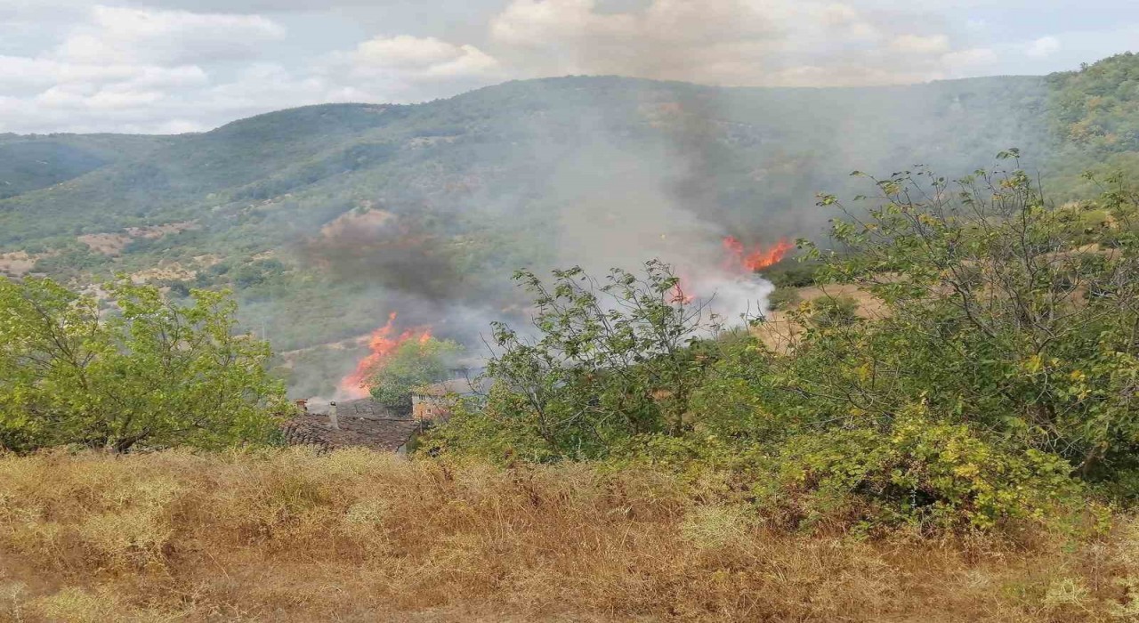 Gönende bahçe ve arazi yangını paniğe neden oldu