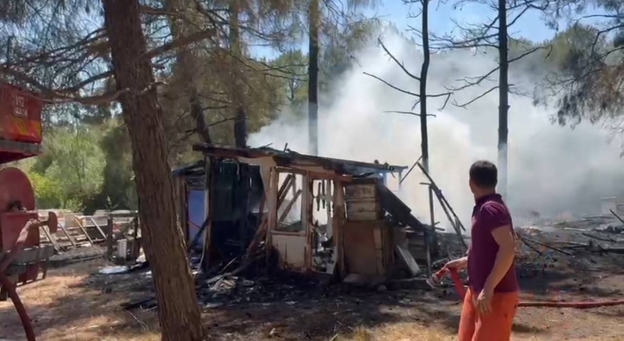 Gönende çamlık alanda yangın paniği: Arı kovanları zarar gördü