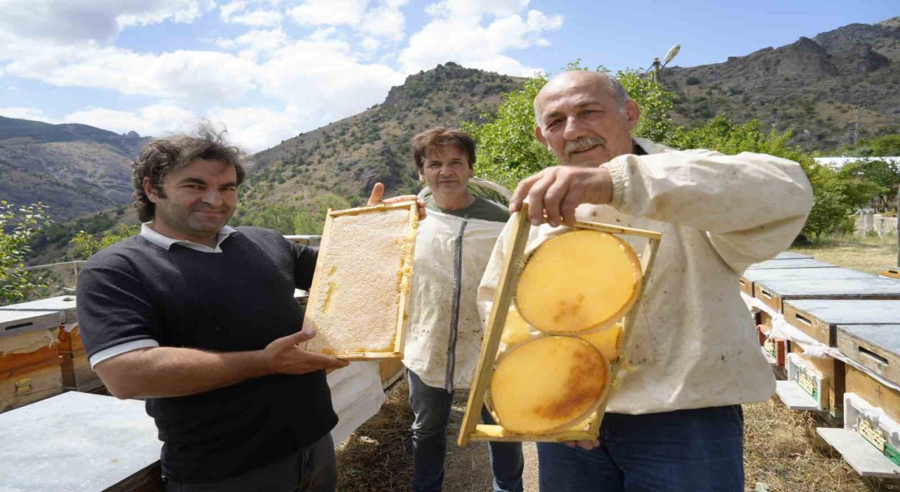 Gümüşhanede 2025 yılı bal hasadı üreticilerin yüzünü güldürdü