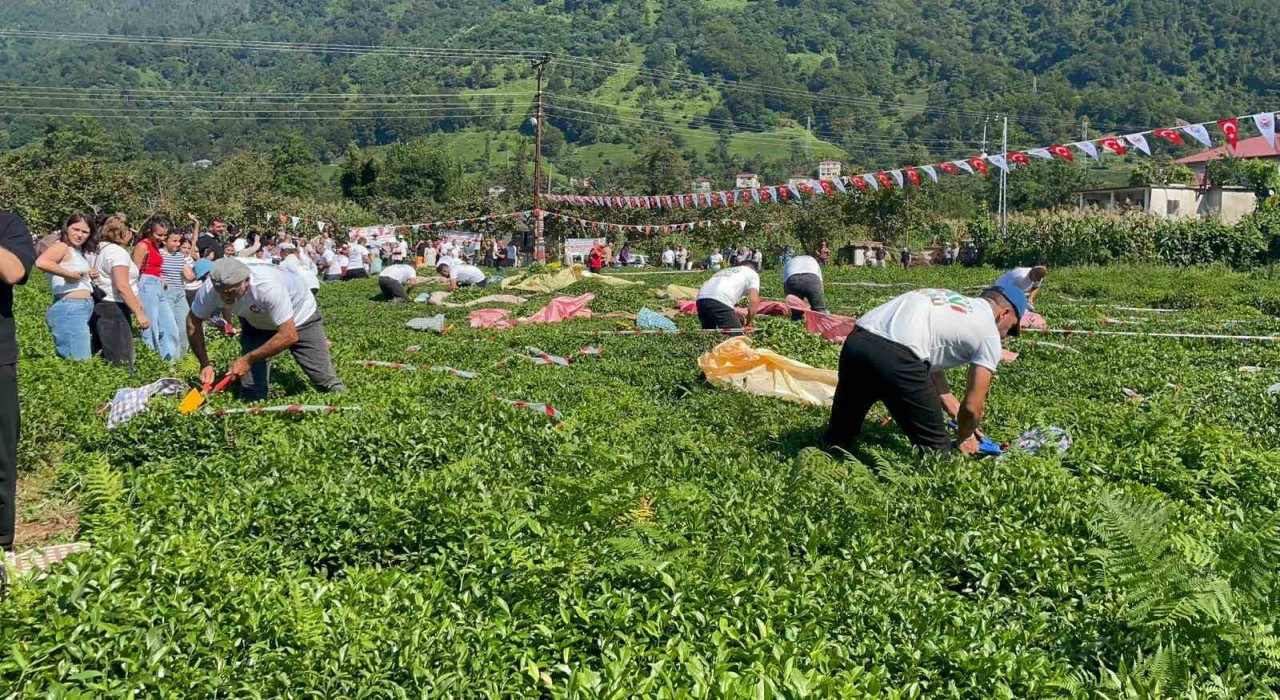 Güneyden Antepin zılgıtı ve kuzeyden Artvinin tulum sesi çaylıkta buluştu