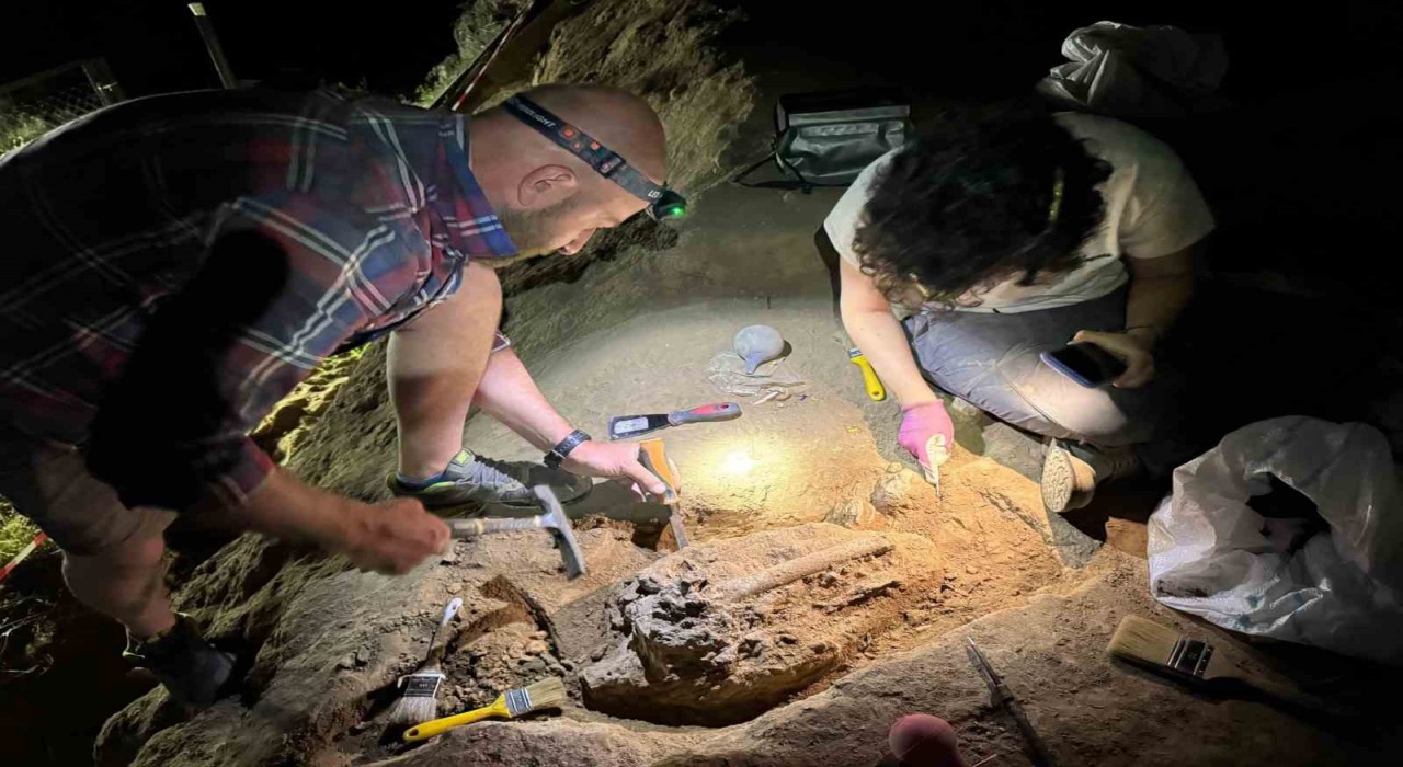 Gürcistanda 1,8 milyon yıllık bir alt çene kemiği bulundu