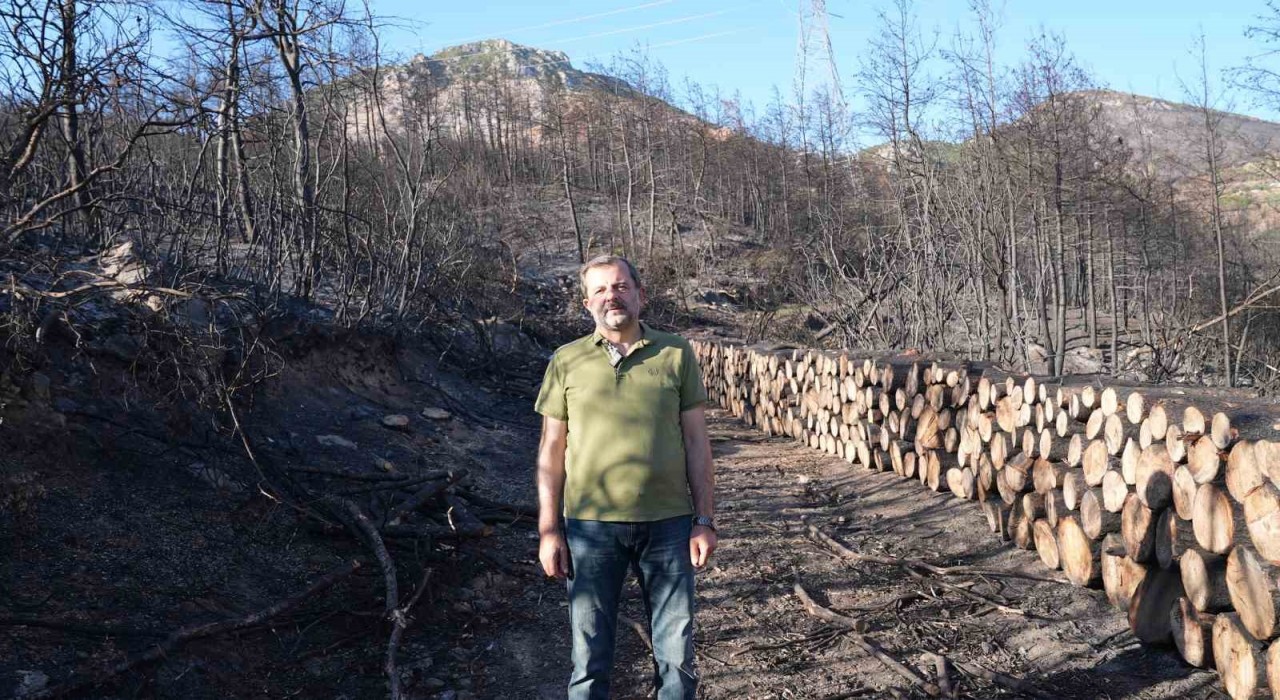 Gürsuda milli ağaçlandırma gününde kampanya düzenlenecek