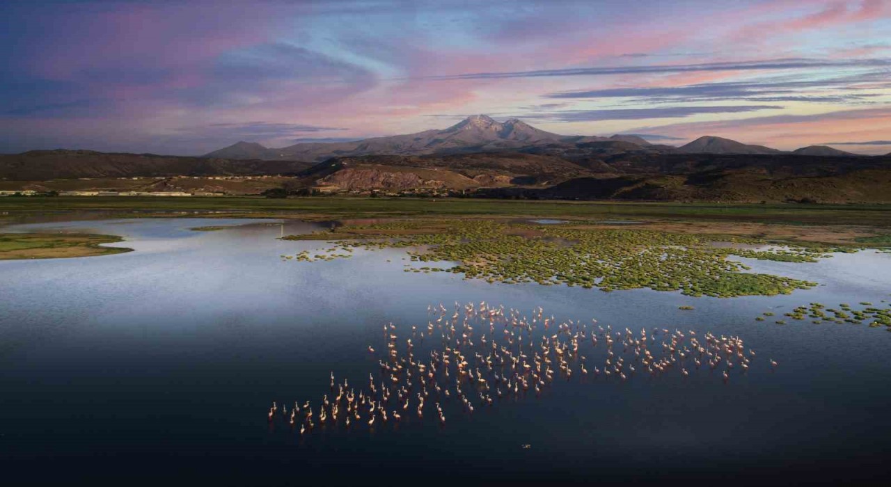 Hacılarda doğaseverler için saklı cennet: Hürmetçi Sazlığı