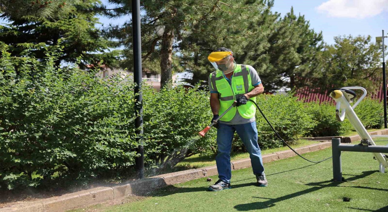 Hacılarda haşereye karşı etkin mücadele