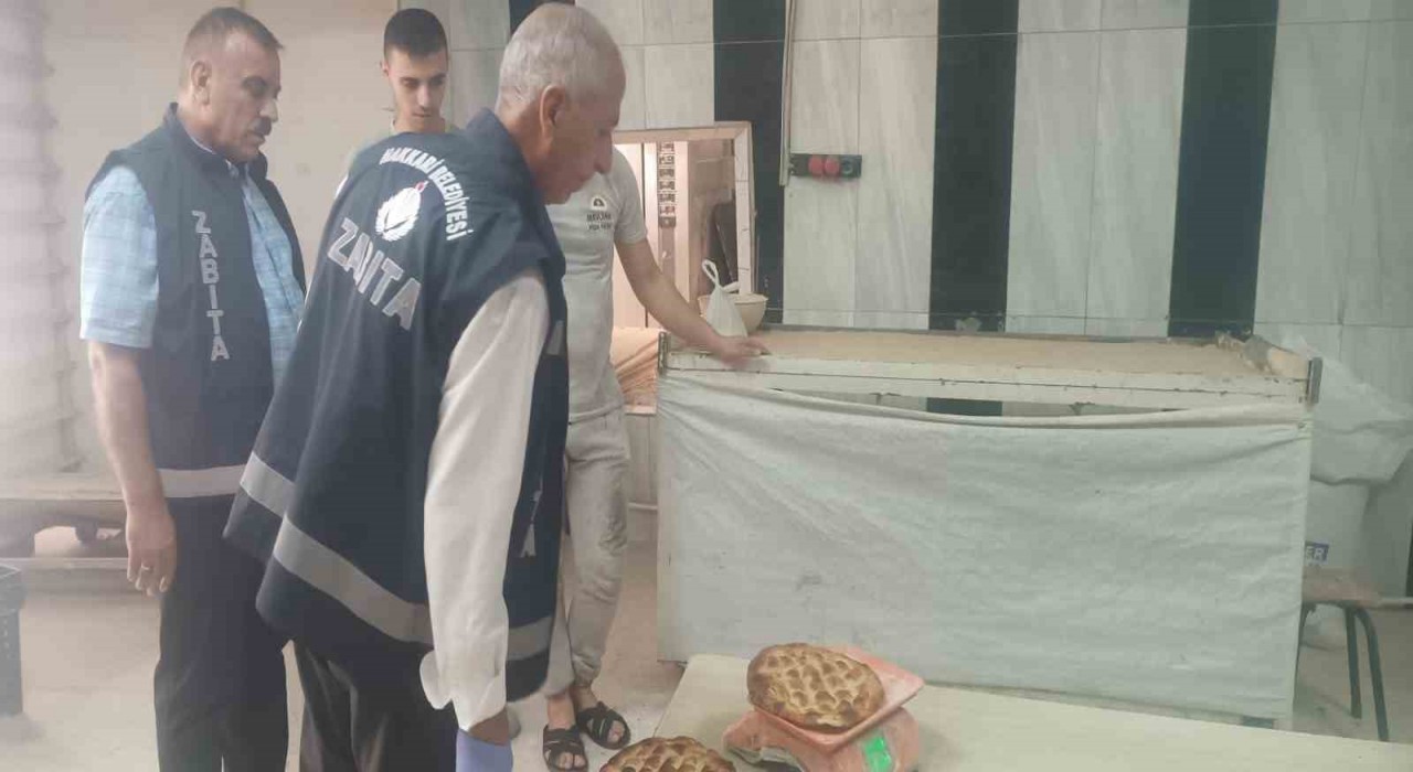 Hakkaride iki işletmeye ceza