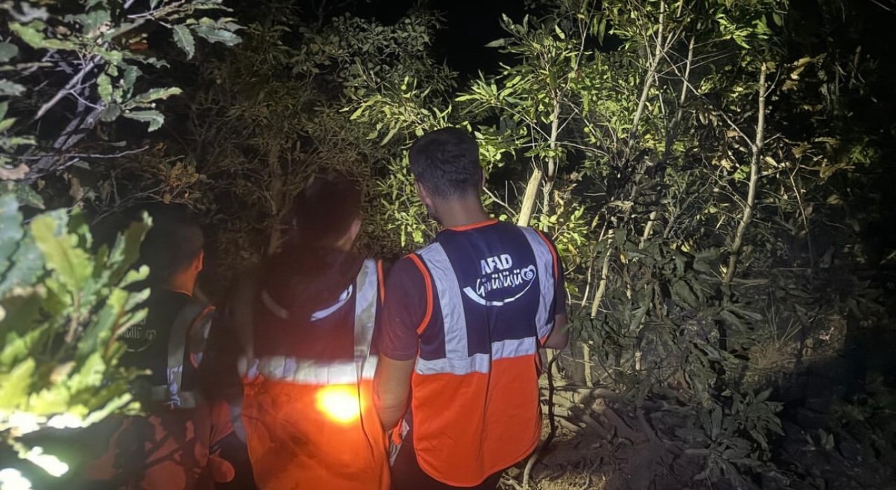 Hakkaride orman yangını