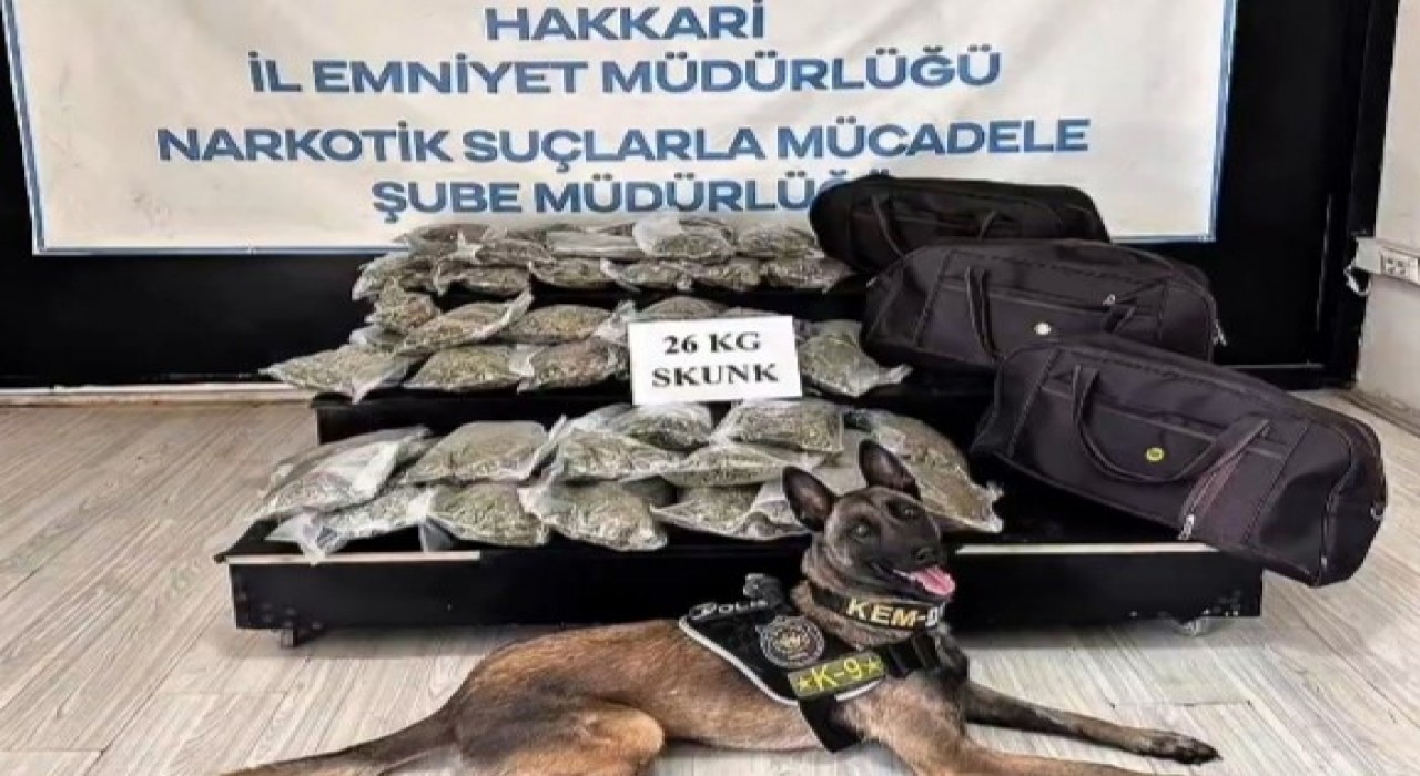 Hakkâride kamyonette 26 kilogram skunk ele geçirildi: 1 şüpheli tutuklandı