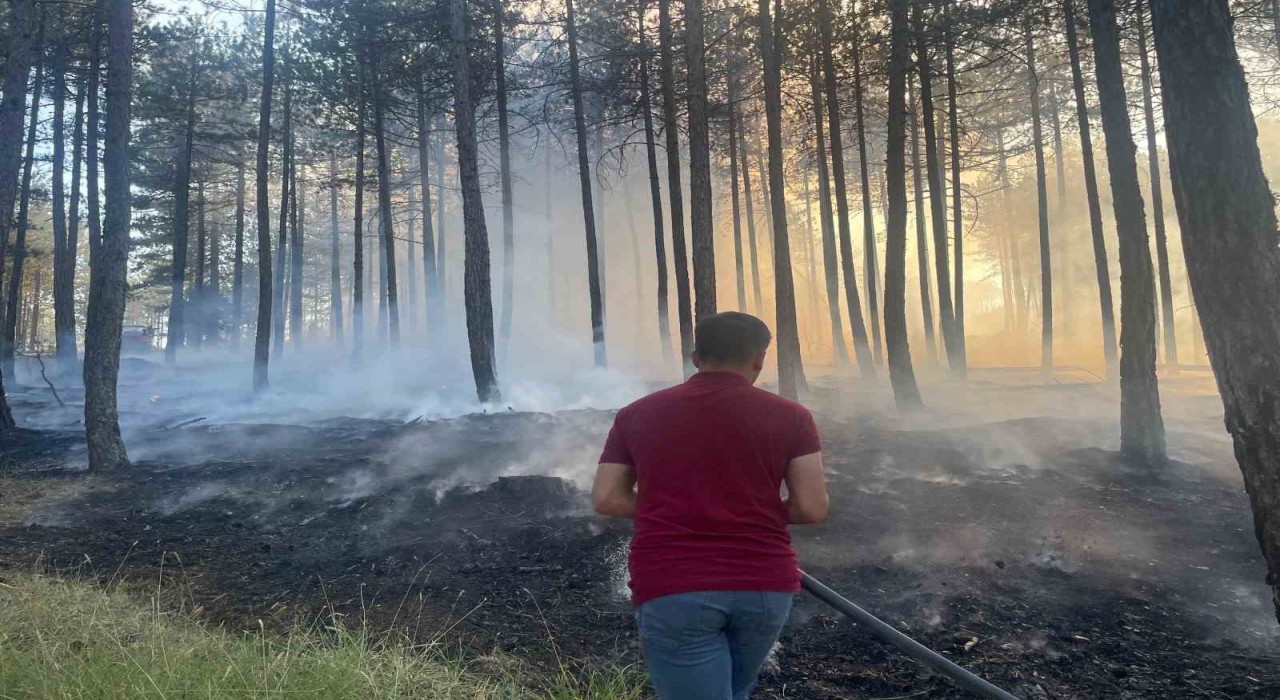 Hanönüde çıkan orman yangını söndürüldü