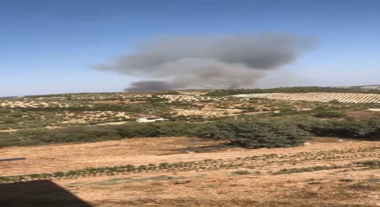 Hatayda orman yangını