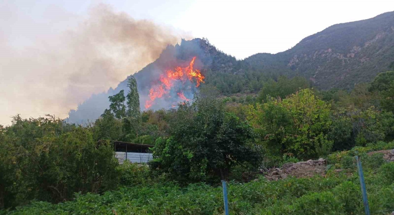 Hatayda orman yangını