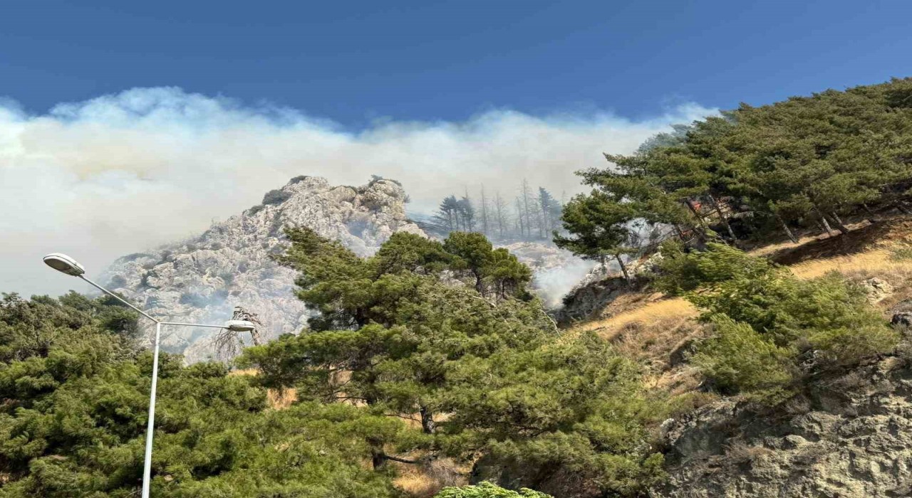 Hatayda orman yangını